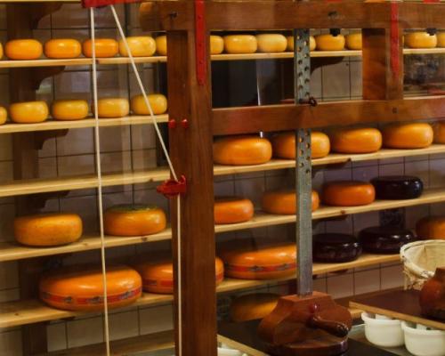 Домашнее сыроделие или как приготовить качественный сыр